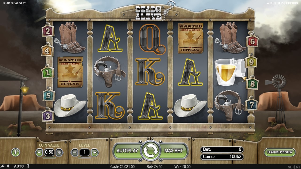 Dead or Alive Slot Game Review