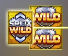 Split Wild