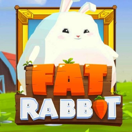 Fat Rabbit